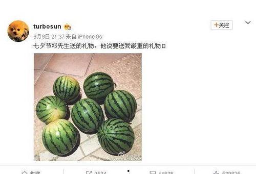 网络大瓜,揭秘娱乐圈幕后真相，带你走进明星隐私世界